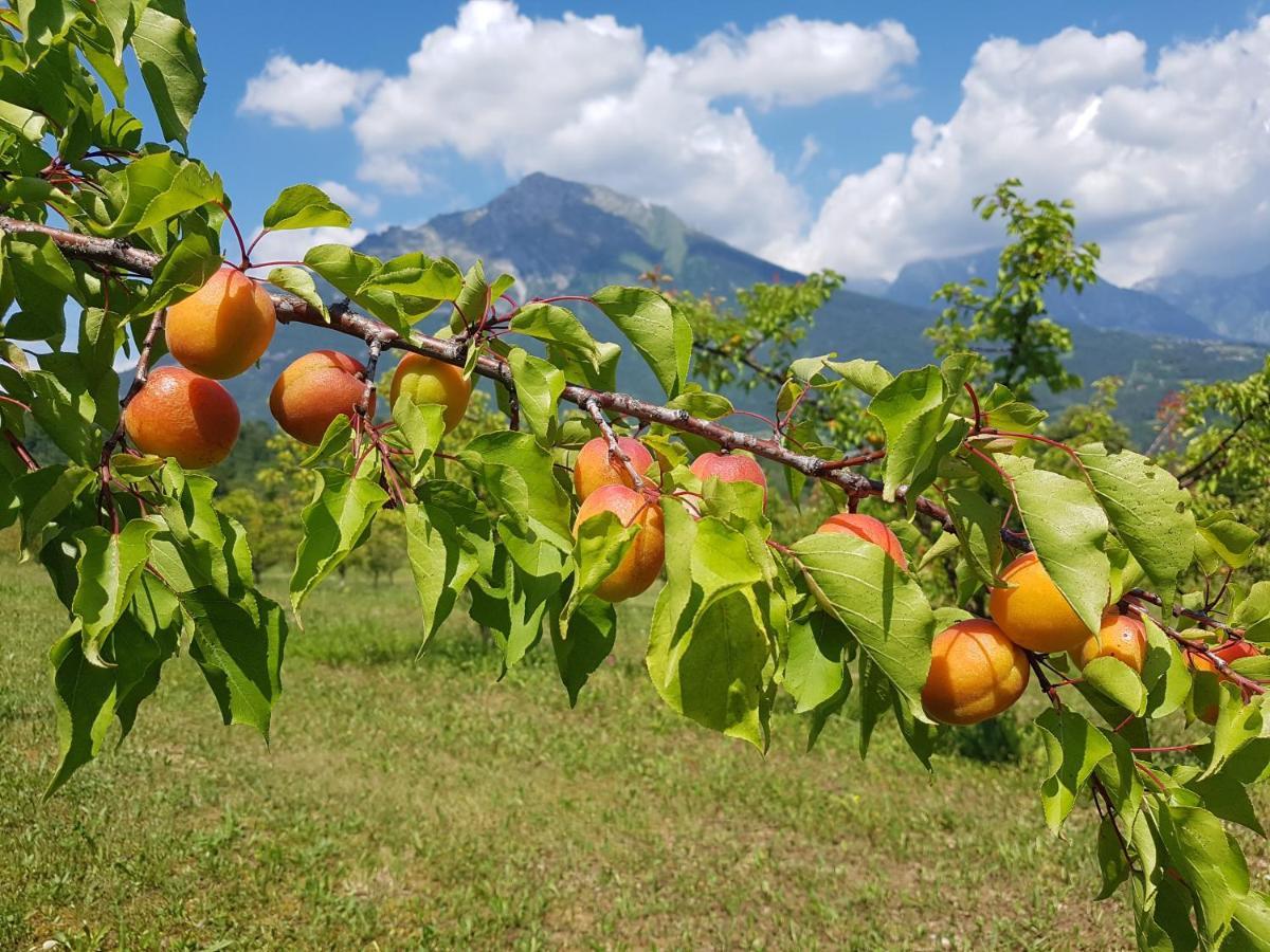 Agriturismo La Giasena Ponte nellʼAlpi Exteriör bild