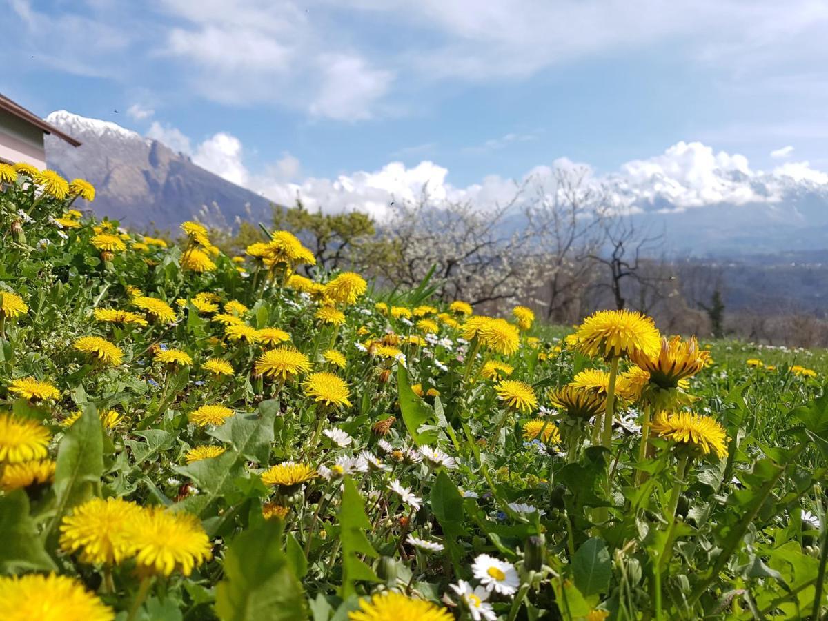 Agriturismo La Giasena Ponte nellʼAlpi Exteriör bild