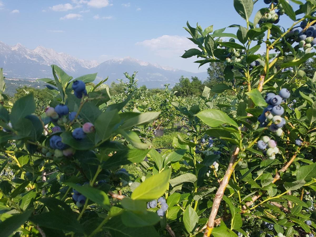 Agriturismo La Giasena Bed and Breakfast Ponte nellʼAlpi Exteriör bild