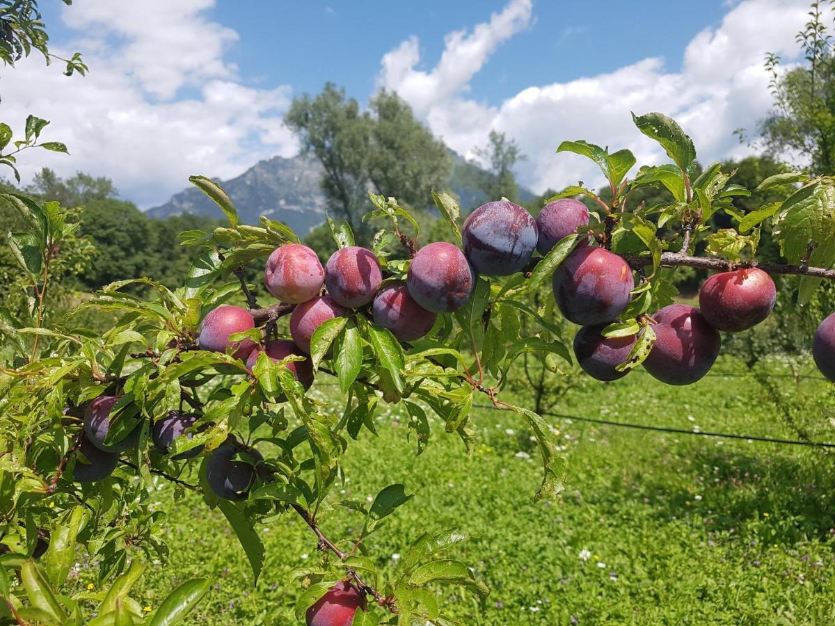Agriturismo La Giasena Ponte nellʼAlpi Exteriör bild